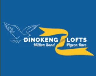 Dinokeng One loft