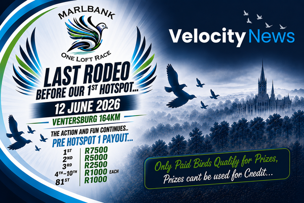 Marlbank One Loft Race Ventersburg Belongs to Lions Loft as 'GI Joe' Wins the Final Funny Money Race