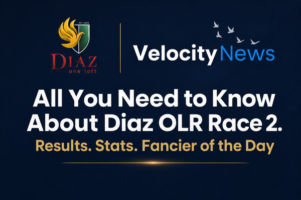 Diaz Race 2 Delivers a Thriller as Banie Deetlefs and 'New Dream' Takes Gold