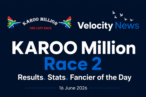 Karoo Million OLR Race 2. Mega Pigeon and 'Imagine' Win by a Wingbeat Over 304km From Tierpoort Dam