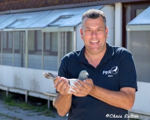 Southfield Lofts and Mark Gilbert (UK) take federation honours at Yelverton from 1054 birds.