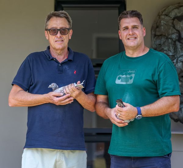 Gold for Gys Louw in Karoo Million HS 4 as Kruger Familie Takes Fancier of the Race