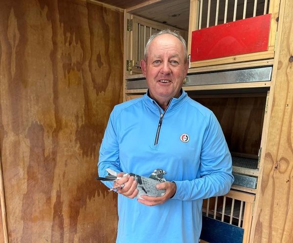 SFOLR Race 3 Report:Team Phillips 1st & 2nd With Almost 3minutes Break-Away