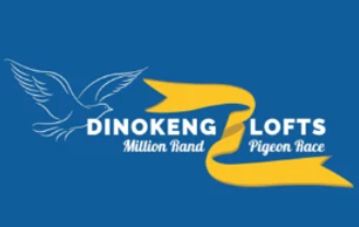 Dinokeng Race 3: Team R & R and Thoné Takes Gold From Verkeerdevlei 393km