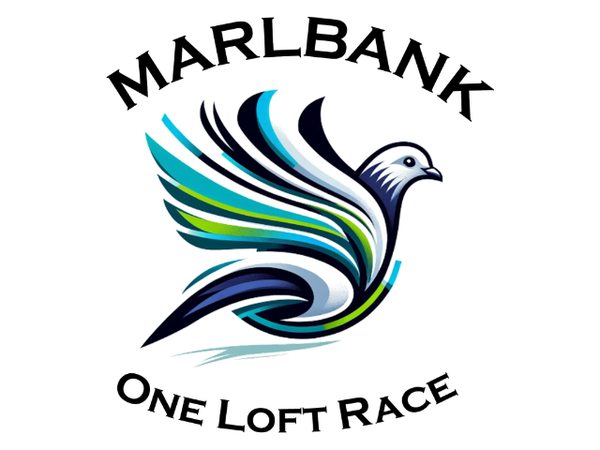 Marlbank OLR Report: Shamwari Lofts Aces Hanover 580km - 'Immaculate' Once In A Lifetime Pigeon ?