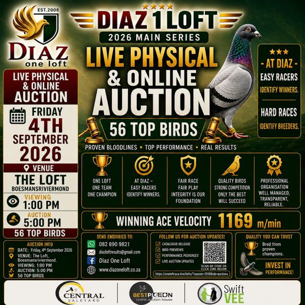 Diaz One Loft Main Auction: View The 2026 Seasons 10 Best Pigeons On Auction