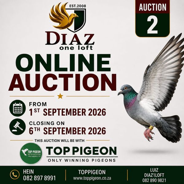 Diaz OLR Auction II: 2026 Top Fanciers And Pigeons On Auction Today 6 September On Top Pigeon