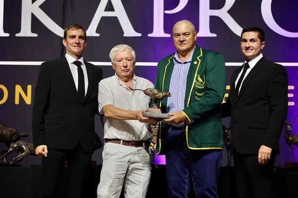 Marlbank Main Auction Day : Best of The Best From Hotspot 4 - Three Top Lots Included