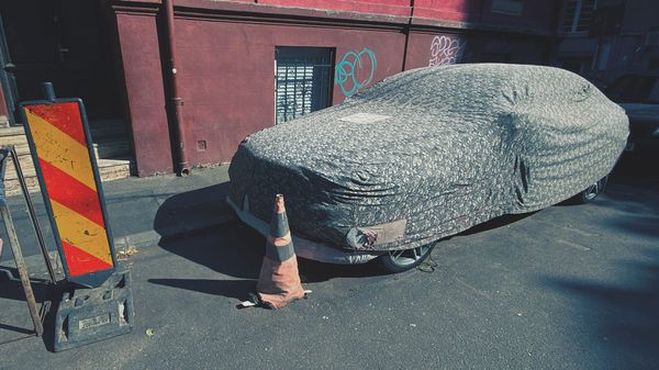 Iarna vrajbei noastre în plm