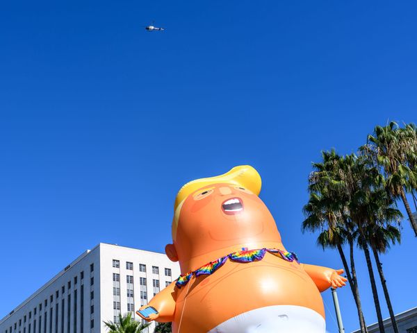 An inflatable Donald Trump is in the foreground. Behind him a blue sky with palm trees and a building. Above him is an LAPD helicopter flying overhead. 