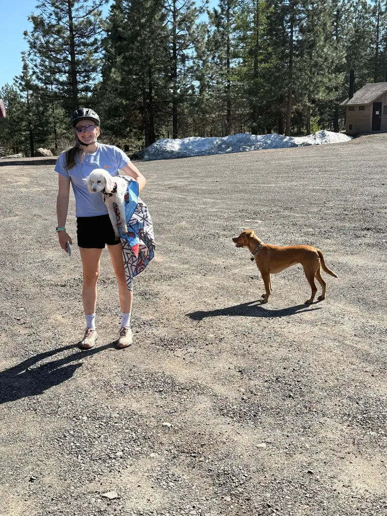Picture of young woman holding white dog, standing next to brown dog looking down the road.