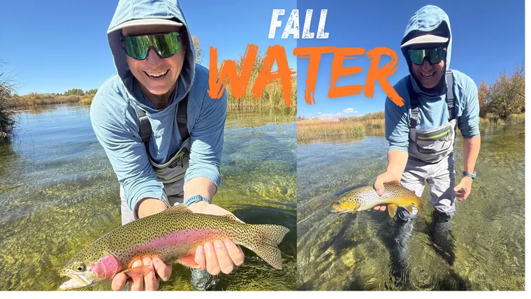 Picture of man in blue sun shirt holding a big Rainbow and Brown trout he just caught. 