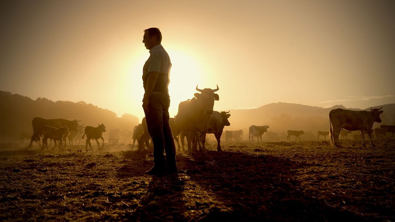 iWonder August Highlights: Food for Thought