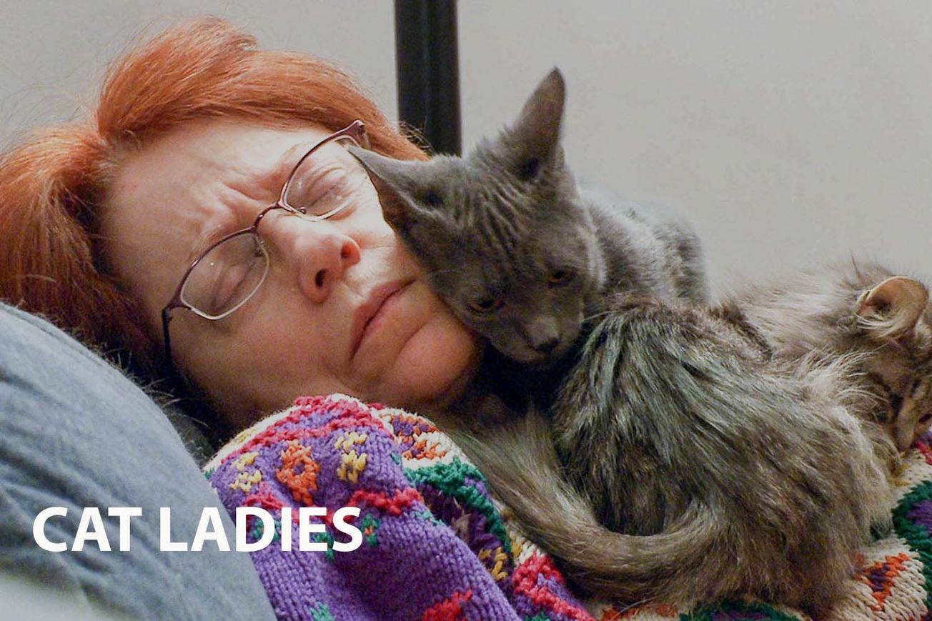 Cat Ladies: Verité-style look at the lives of 4 women and their cats