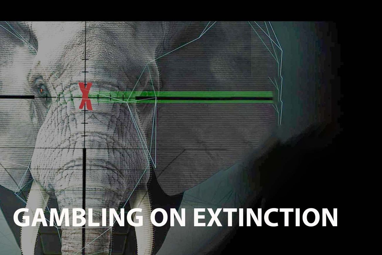Gambling on Extinction: Poaching, Trade and Profit