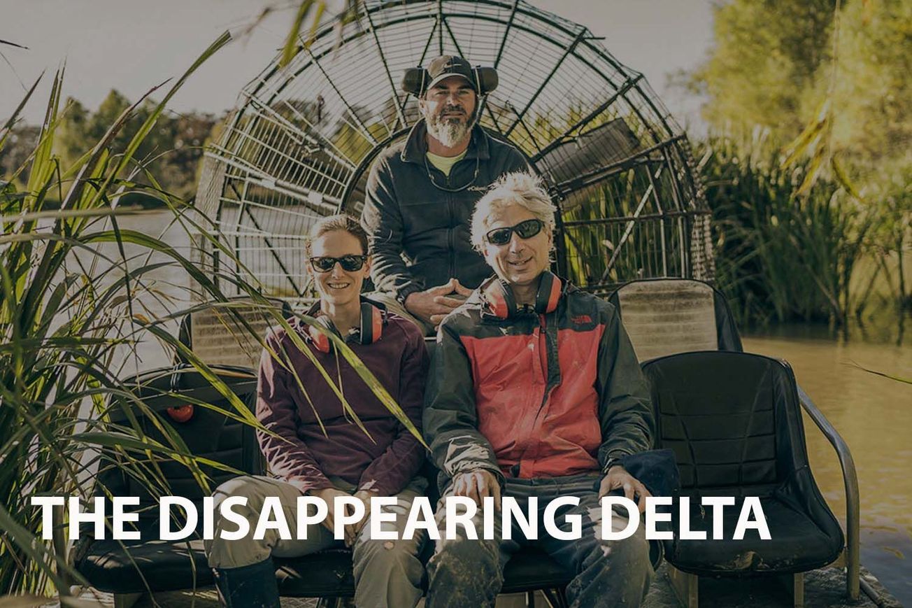 The Disappearing Delta: impacts of climate change