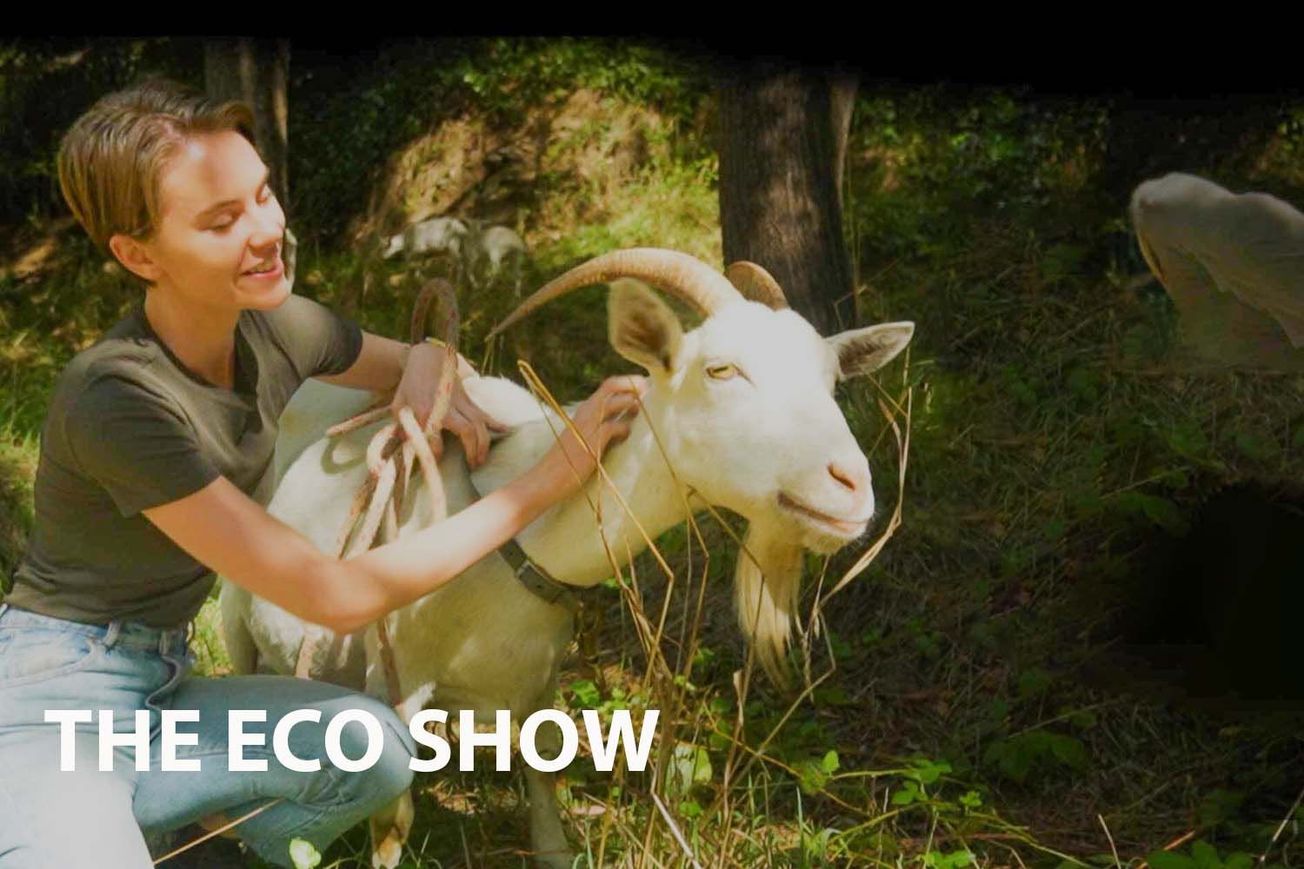 The Eco Show: conservation efforts in Australia
