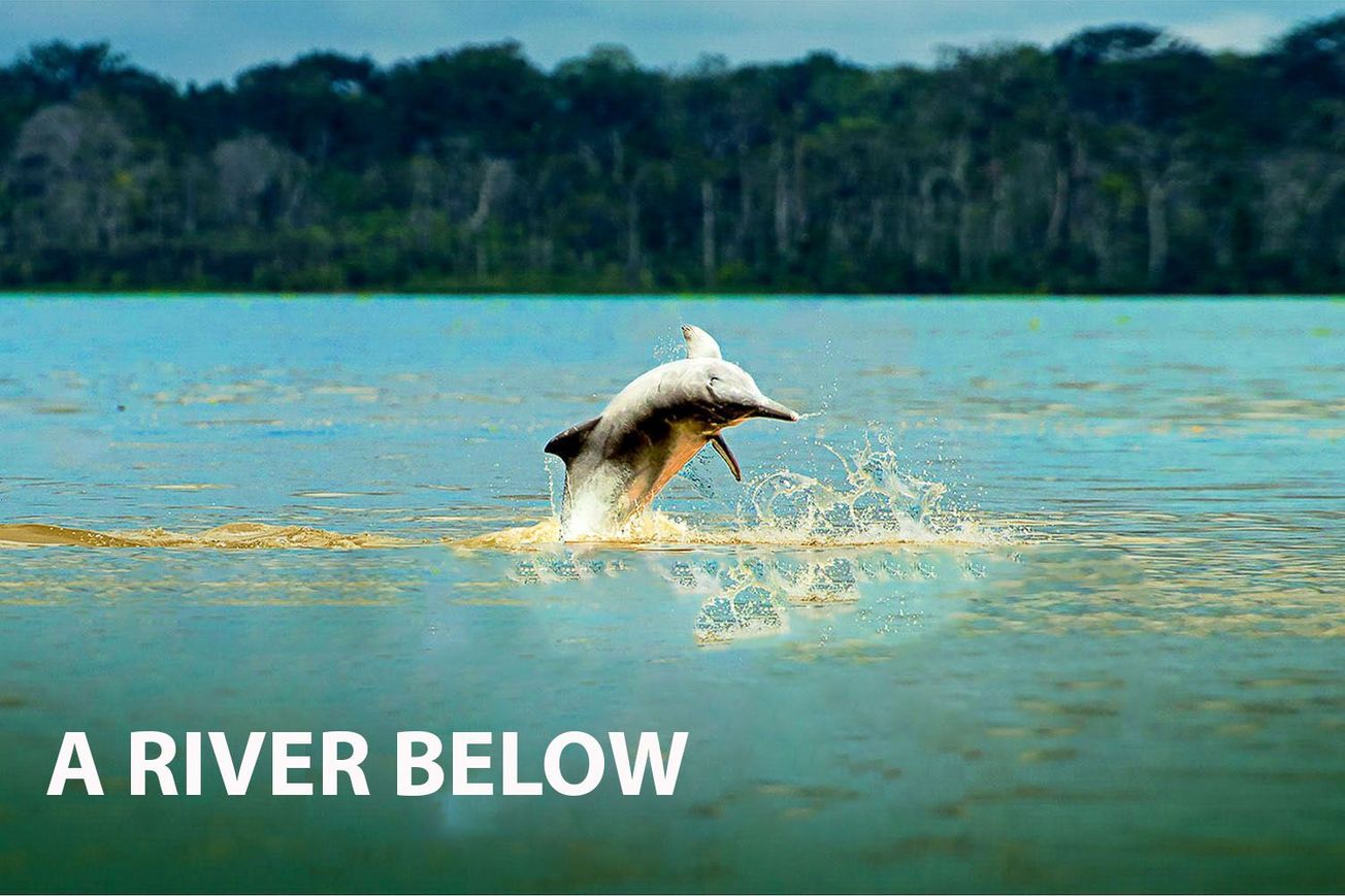 A River Below: Unveiling the Complexities of the Amazon
