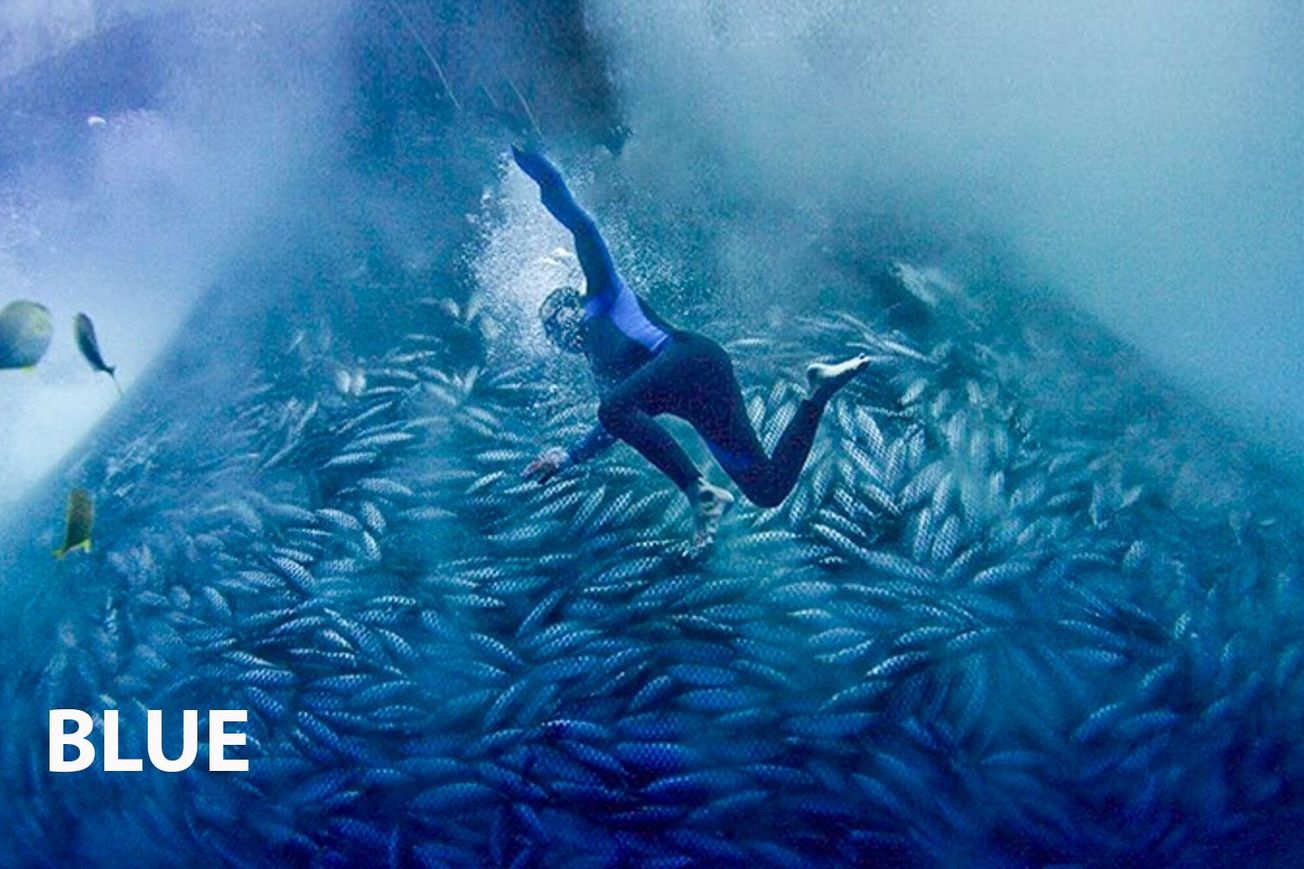 Blue: A Deep Dive into Our Ocean's Precipice