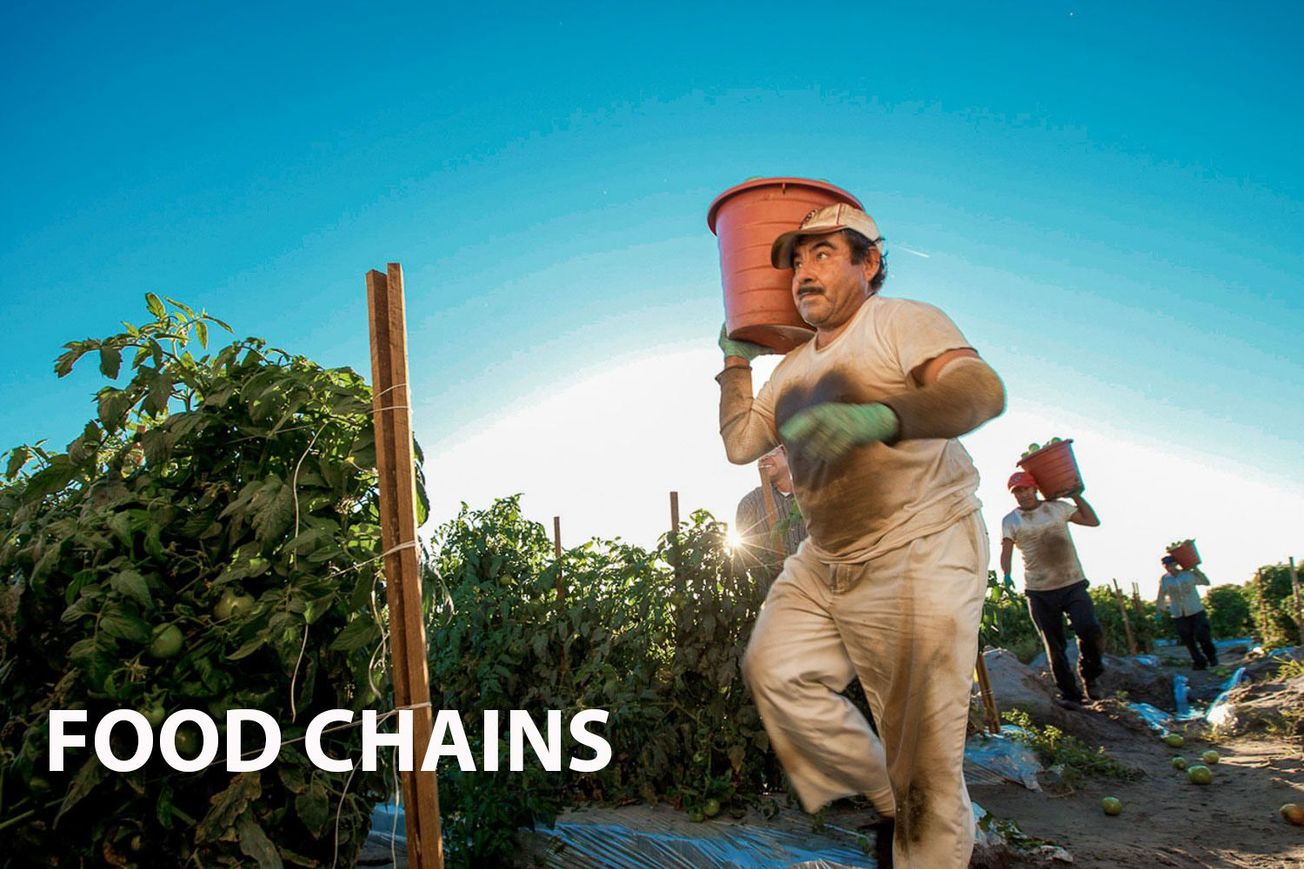 Food Chains: Unveiling the Hidden Exploitation in America's Food Industry