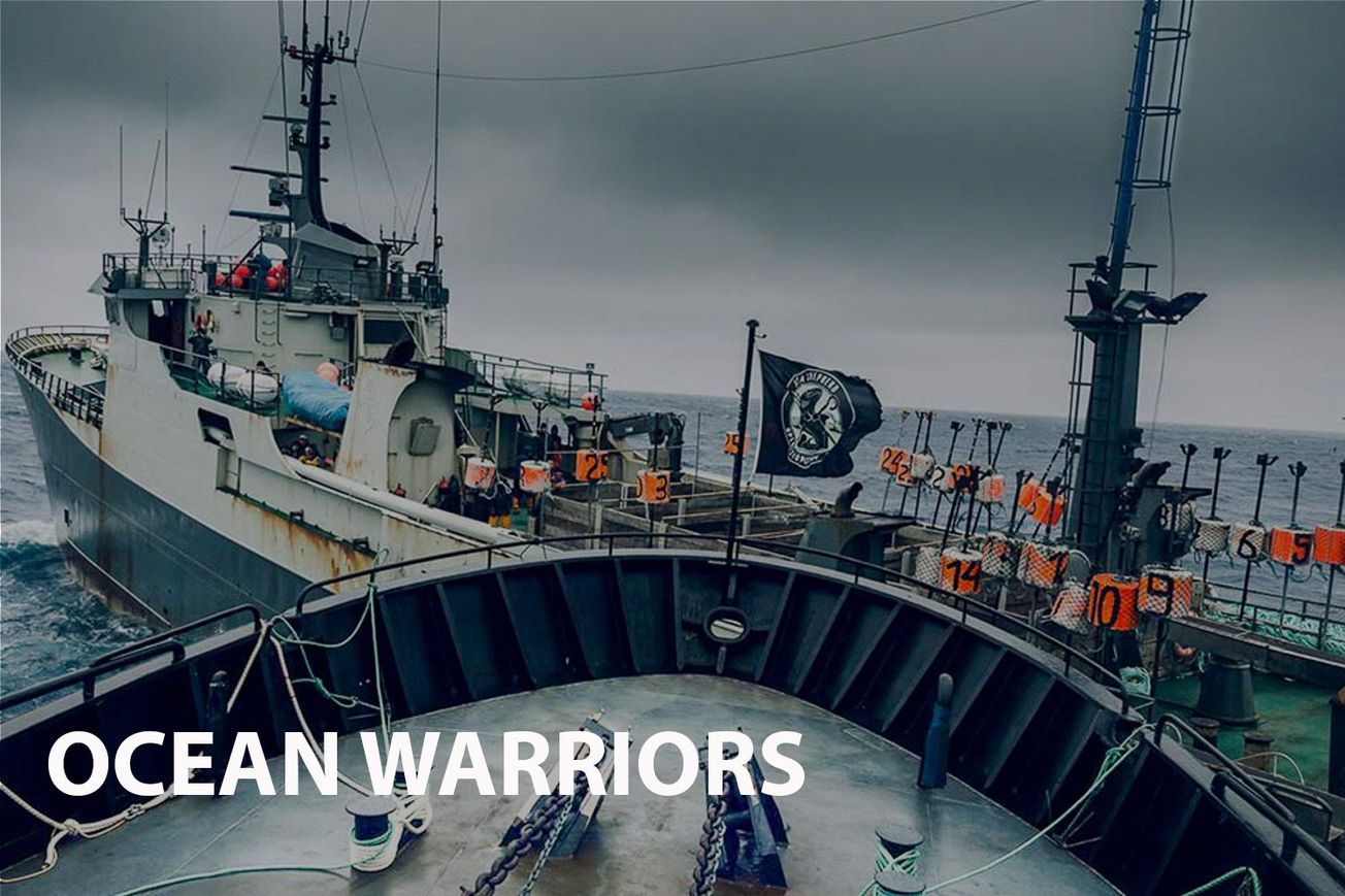 Ocean Warriors: Chasing the Thunder - A Riveting Call to Action for Our Oceans
