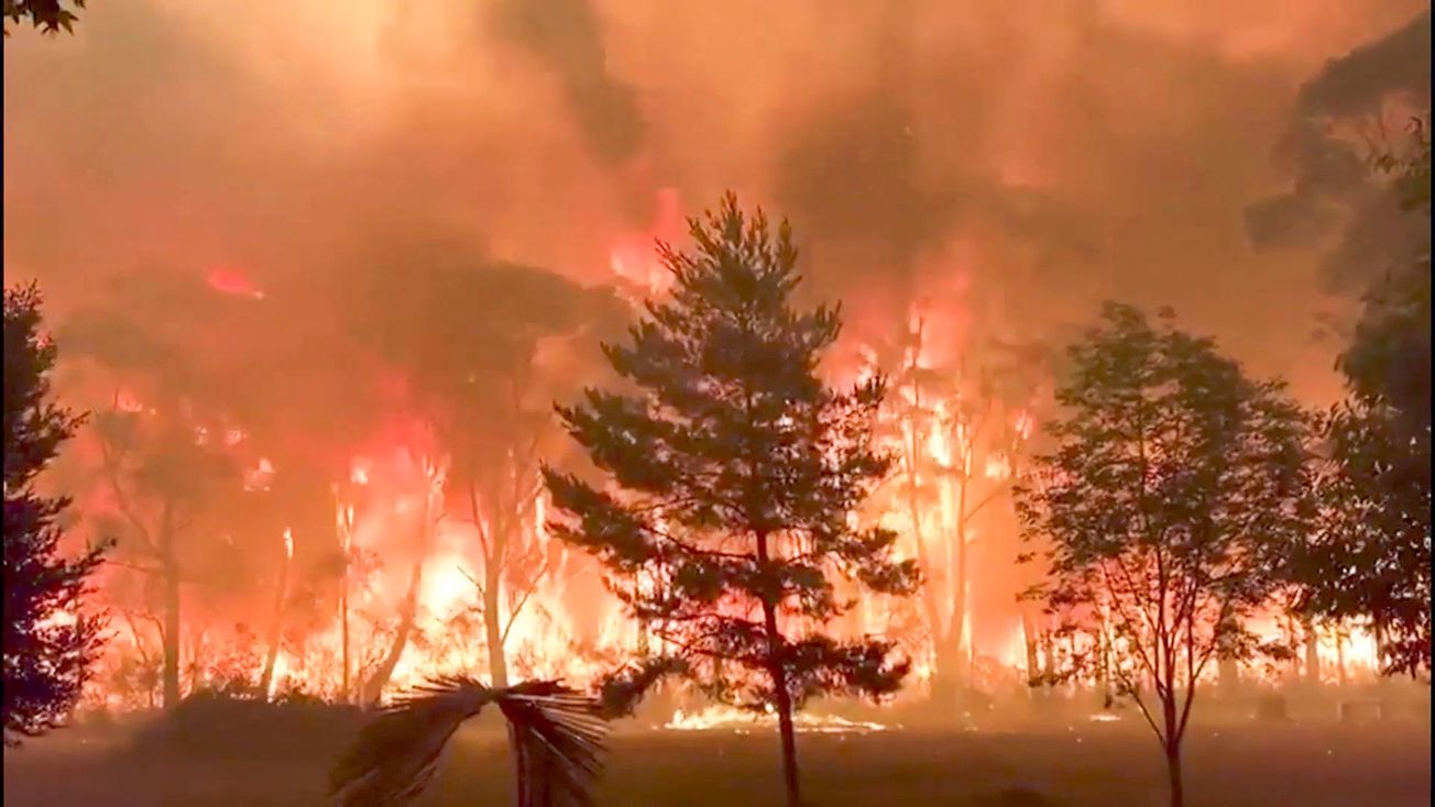 iWonder September highlights: Climate catastrophe