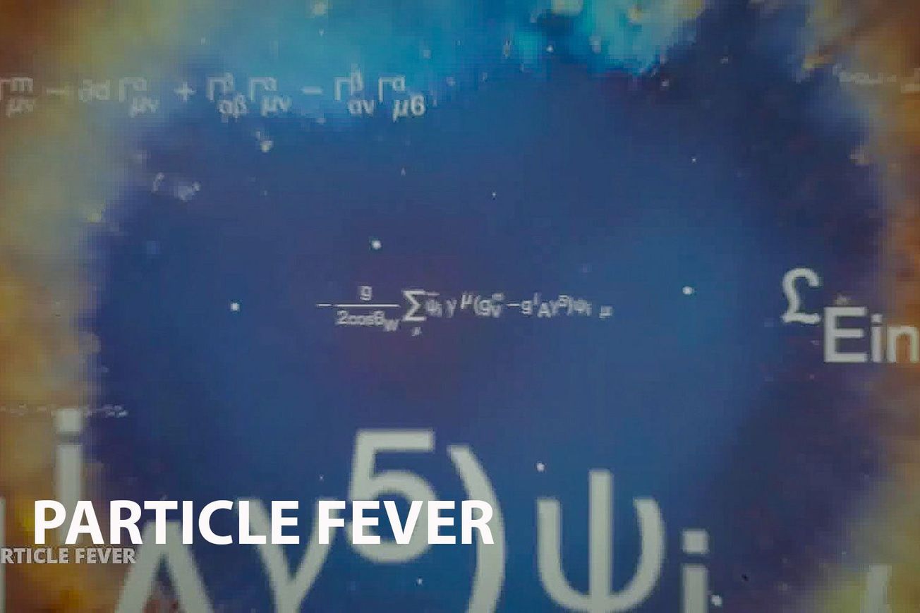 Particle Fever: A Journey to the Heart of Matter