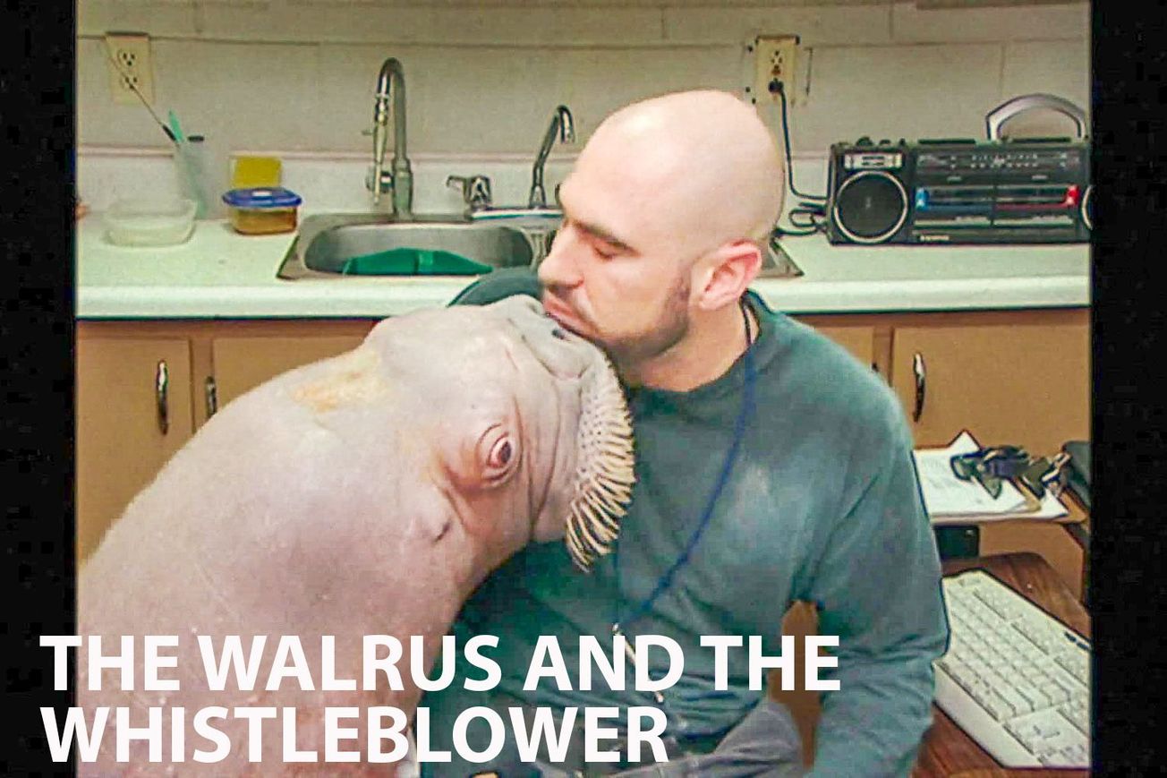The Walrus and The Whistleblower: A Fight for Animal Rights & Personal Redemption