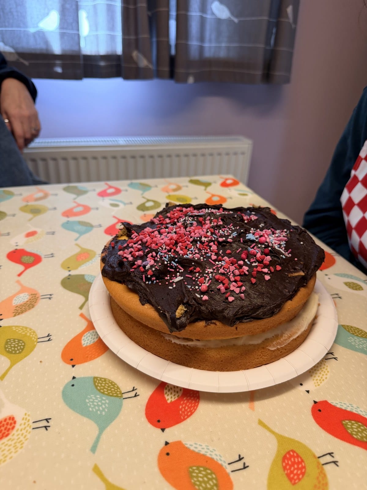 The sponge cake I made with my wife and daughter, topped with chocolate icing and colourful sprinkles.