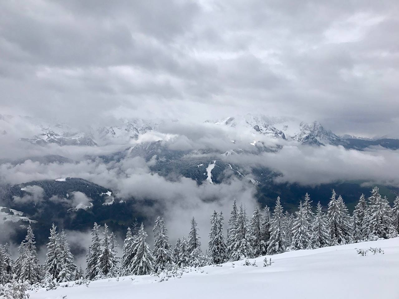 Back in the game (a half year update)