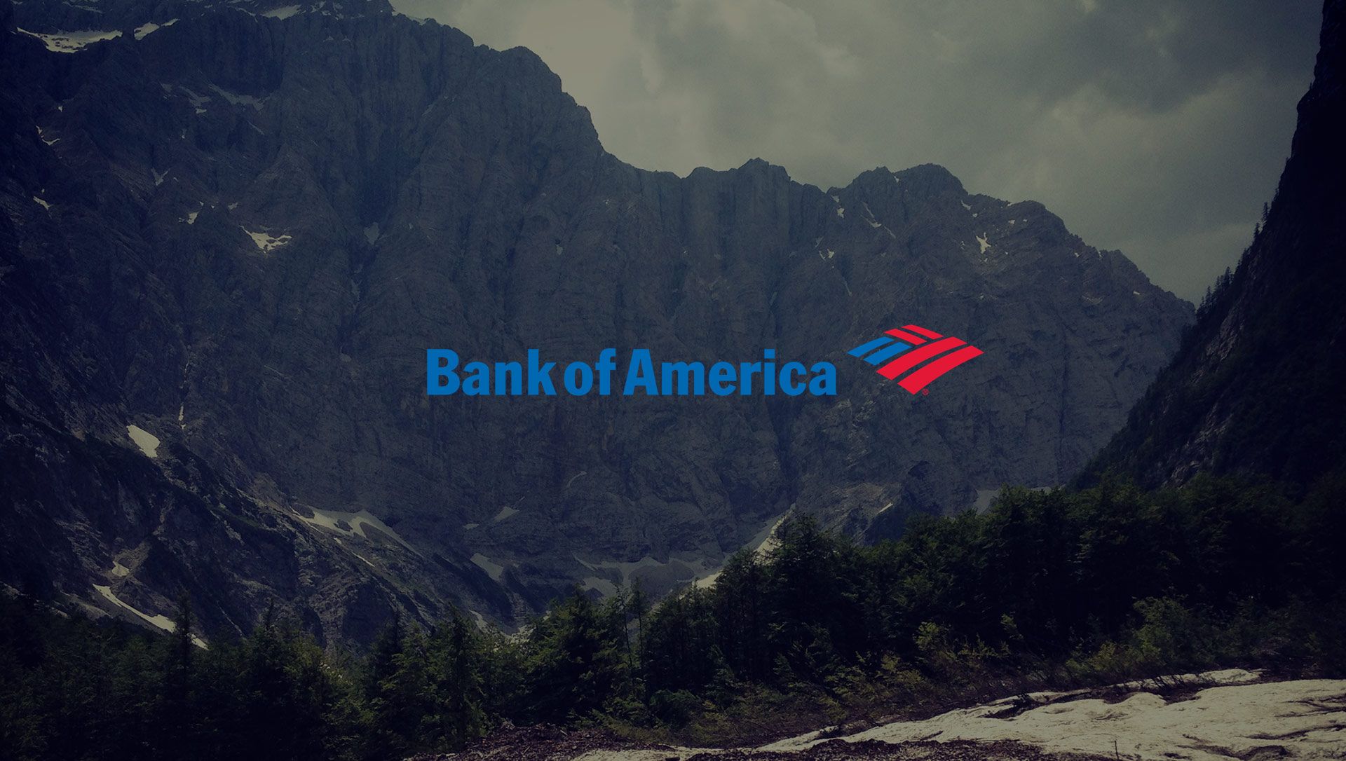 Bank of America: Card transaction authorization