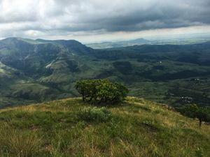 Weekly update - 7 January 2016