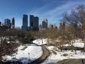 Weekly update - 1 February 2016