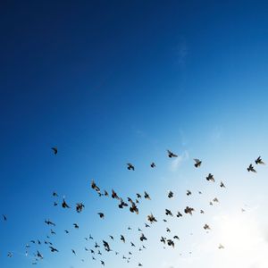 The opportunity that SwiftUI presents for product builders