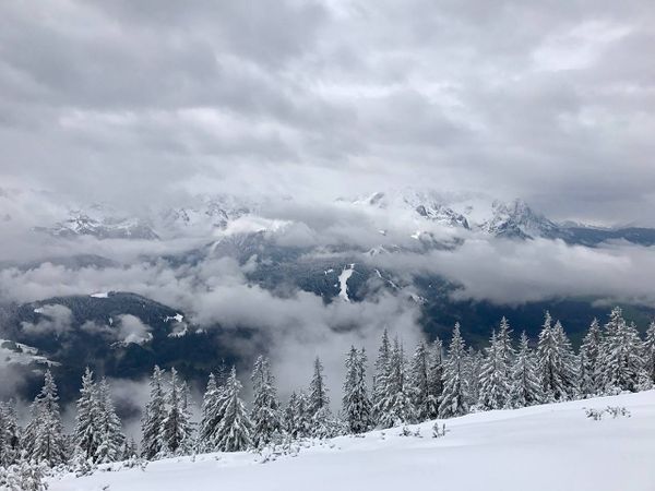 Back in the game (a half year update)