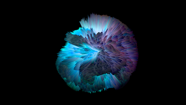 Weekly update - 29 December 2015