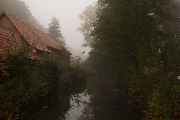 Weekly update: 16 June 2016