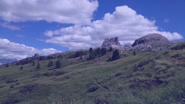 Weekly update: 4 April 2016