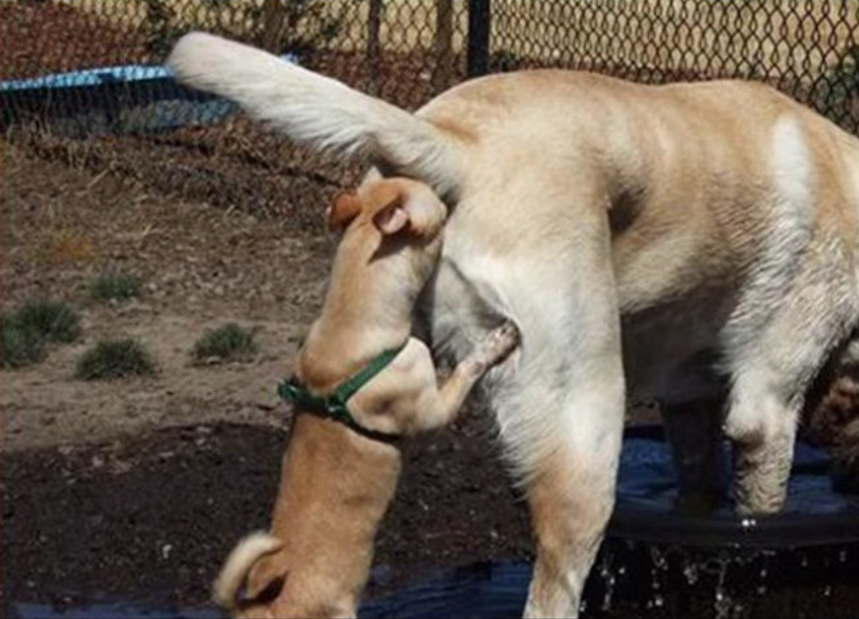 Symbolfoto: erlebt bei den Echo Medien Verlagsleitung