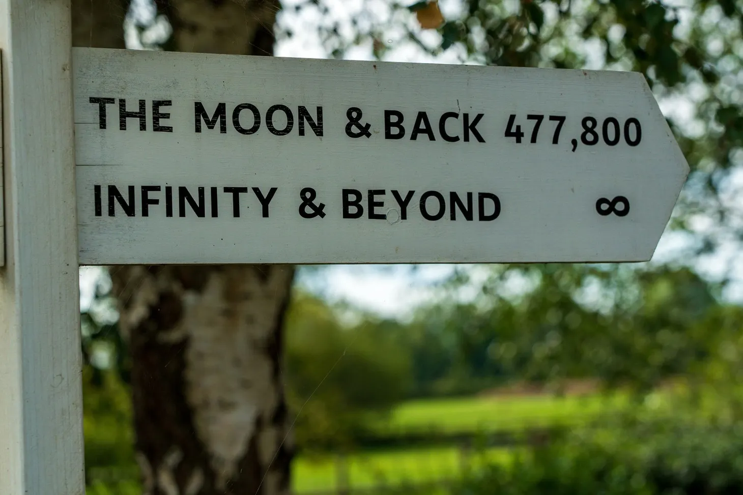 Embracing Nonlinearity