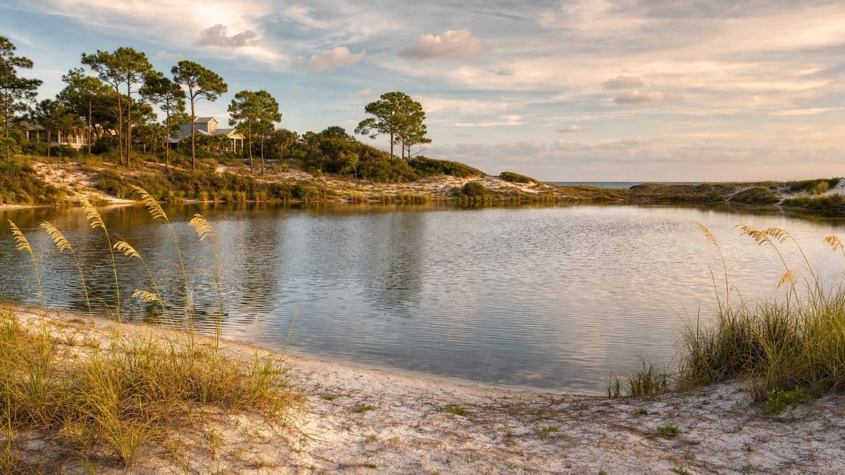 Dune Allen Guide: Beach Access, Dining & Stays