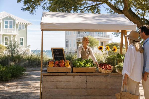 Best Time For Farm And Market Tours On 30A