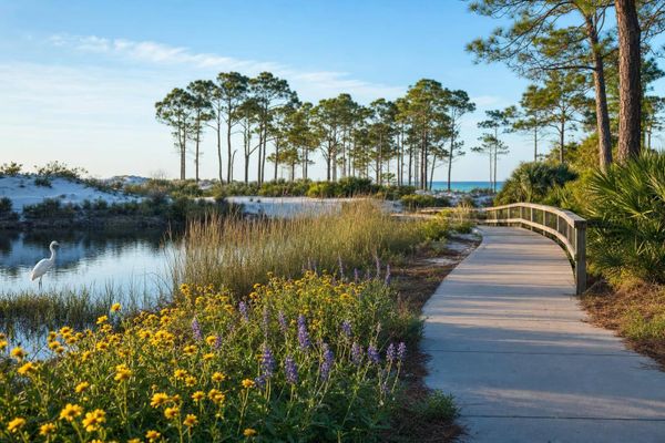Best 30A Nature Trails for Spring Walks