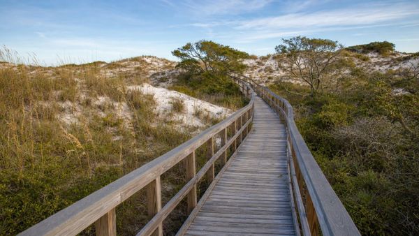 A wide beach scene with white sand, turquoise water, and grassy coastal dunes in warm evening light.