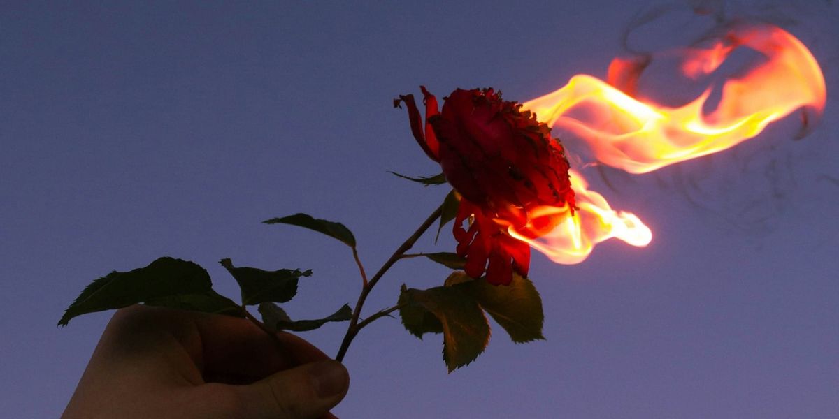 一隻手握著一朵正在燃燒的紅玫瑰，背景是紫藍色天空，象徵愛與痛、控制與敏感的衝突。