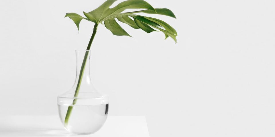 從「繁華」中醒來，你會發現「簡單」其實才是生命自由的門票