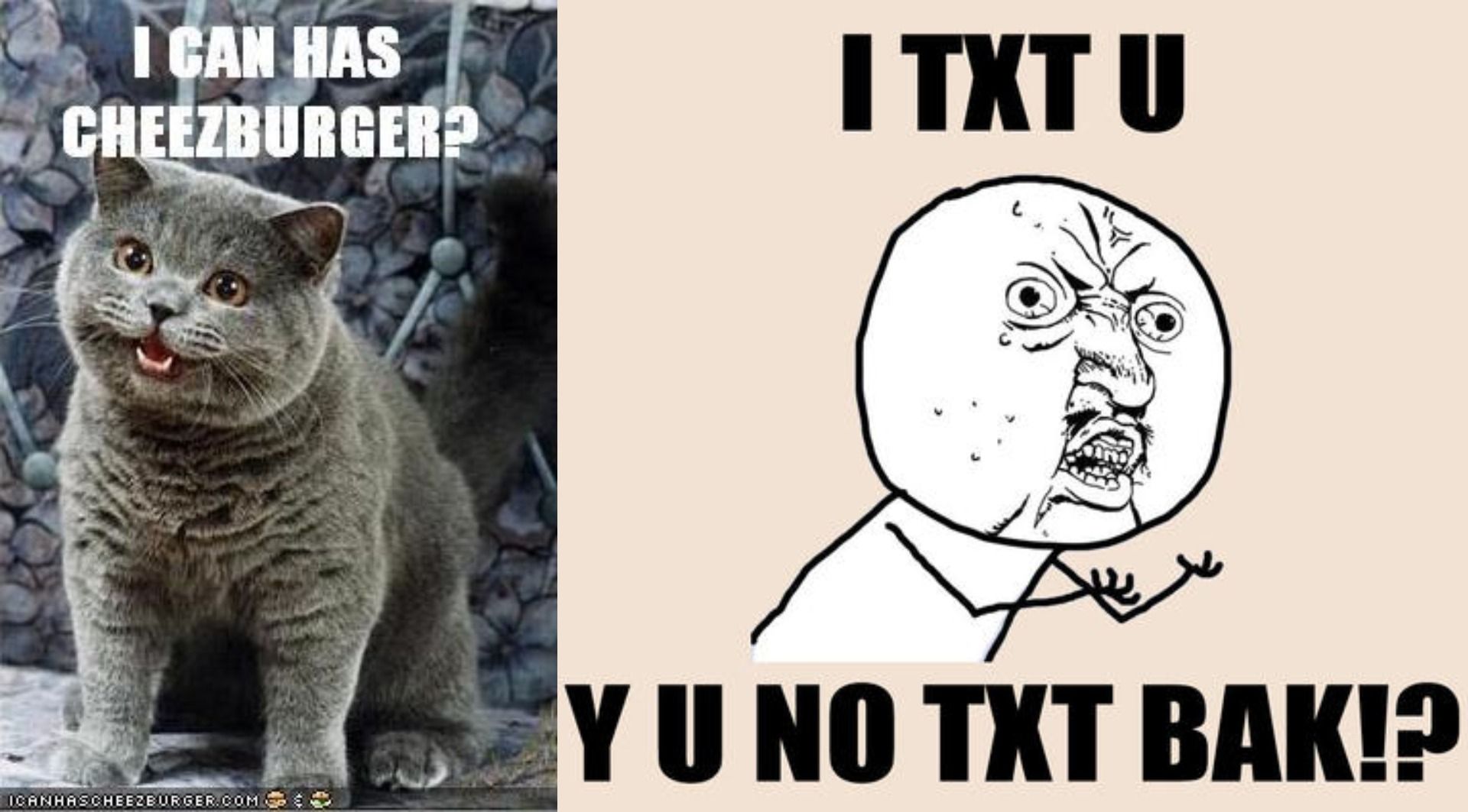 Two memes representative of the early 2000's, one with Happy Cat and one with "Y U NO" Guy.