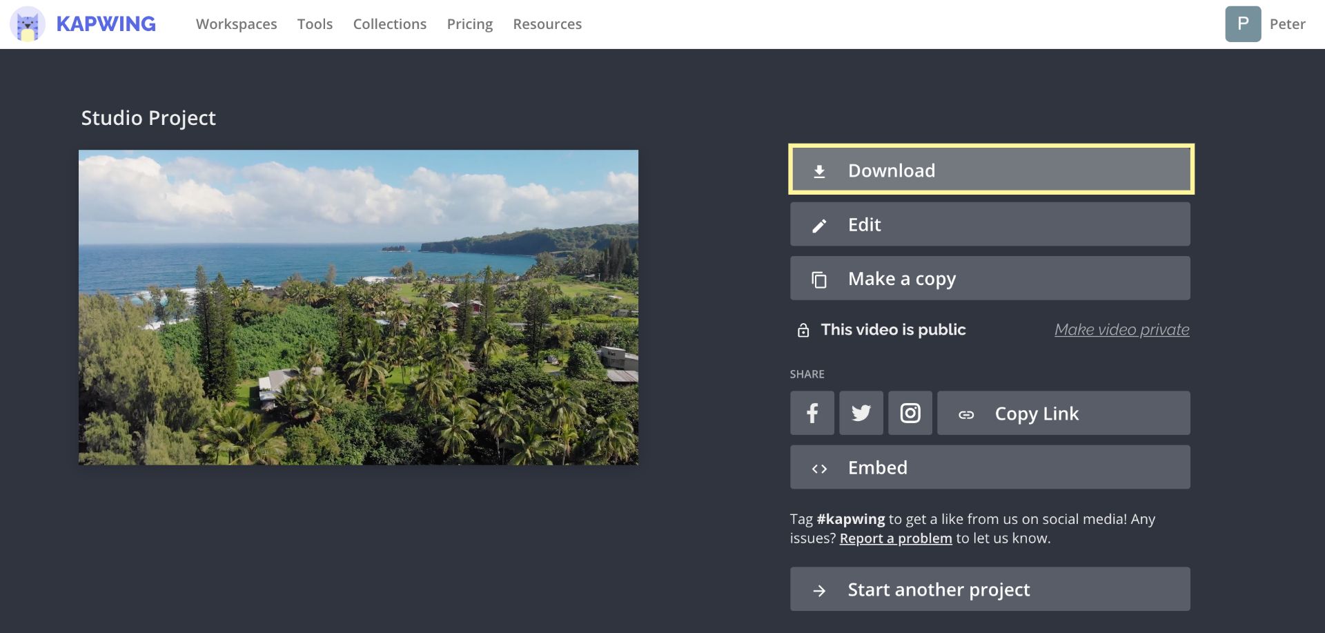 A screenshot of the Kapwing download page.