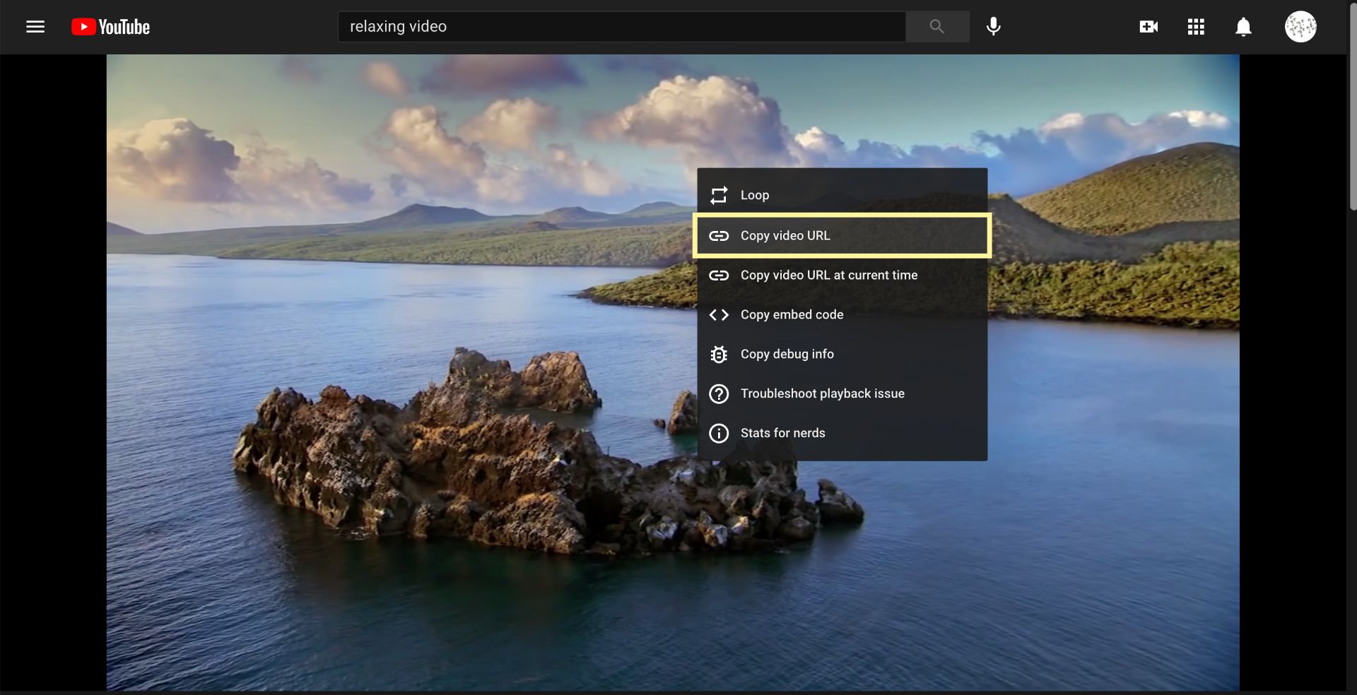 A screenshot showing how to copy links from YouTube videos.