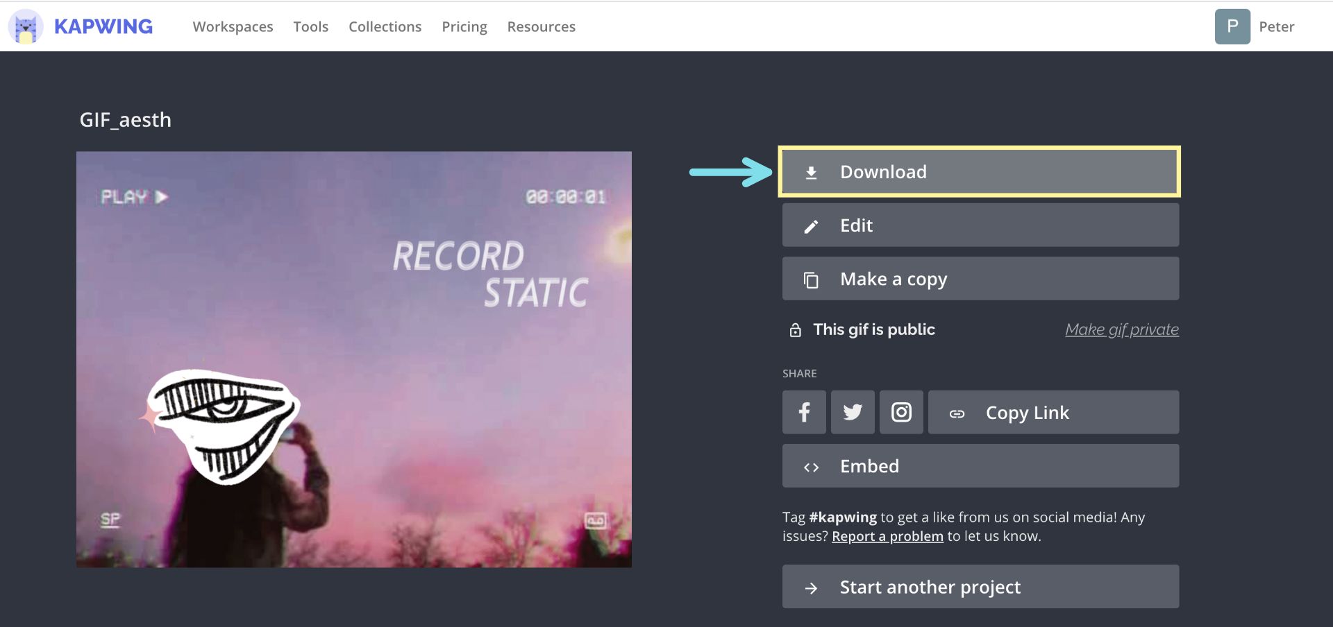 A screenshot of the Kapwing download page. 